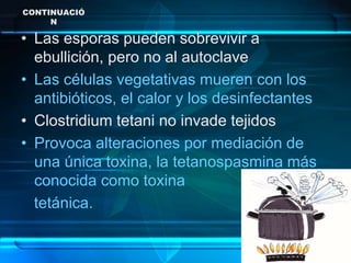 CONTINUACIÓ
N
• Las esporas pueden sobrevivir a
ebullición, pero no al autoclave
• Las células vegetativas mueren con los
antibióticos, el calor y los desinfectantes
• Clostridium tetani no invade tejidos
• Provoca alteraciones por mediación de
una única toxina, la tetanospasmina más
conocida como toxina
tetánica.
 