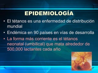 EPIDEMIOLOGÍA
• El tétanos es una enfermedad de distribución
mundial
• Endémica en 90 países en vías de desarrolla
• La forma más corriente es el tétanos
neonatal (umbilical) que mata alrededor de
500,000 lactantes cada año
 
