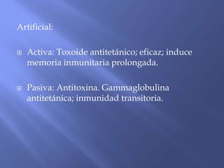 Artificial:
 Activa: Toxoide antitetánico; eficaz; induce
memoria inmunitaria prolongada.
 Pasiva: Antitoxina. Gammaglobulina
antitetánica; inmunidad transitoria.
 