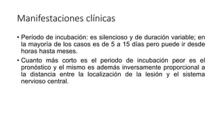 Manifestaciones clínicas
• Período de incubación: es silencioso y de duración variable; en
la mayoría de los casos es de 5 a 15 días pero puede ir desde
horas hasta meses.
• Cuanto más corto es el periodo de incubación peor es el
pronóstico y el mismo es además inversamente proporcional a
la distancia entre la localización de la lesión y el sistema
nervioso central.
 