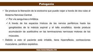 Patogenia
Tétanos. Revisión Bibliográfica. 2019
• Se produce la liberación de la exotoxina que puede viajar a través de dos rutas al
Sistema Nervioso Central.
 Por vía sanguínea o linfática
 A través de los espacios hísticos de los nervios periféricos hasta los
gangliósidos de la médula espinal y el tallo encefálico, donde produce
acumulación de acetilcolina en las terminaciones nerviosas motoras de los
músculos.
• Debido a esto el paciente está irritable, tiene hiperreflexia, contracciones
musculares, parálisis espástica.
 