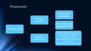 Prevención
Prevención
Métodos
específicos
Vacunación
preventiva
Prevención post-
exposición (TIG)
Métodos
inespecíficos
Limpieza de la herida (solo con
agua y jabón) y su manejo
quirúrgico correcto
(desbridamiento, extracción de
los cuerpos
extraños, eliminación la pus).
 