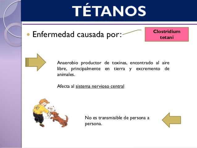 cadena epidemiologica tetanos t 233 tanos vigilancia epidemiologica cadena epidemiologica tetanos t 233 tanos vigilancia epidemiologica