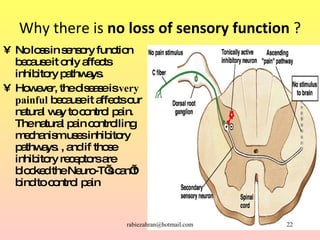 Why there is  no loss of sensory function  ? <ul><li>No loss in sensory function because it only affects inhibitory pathwa...