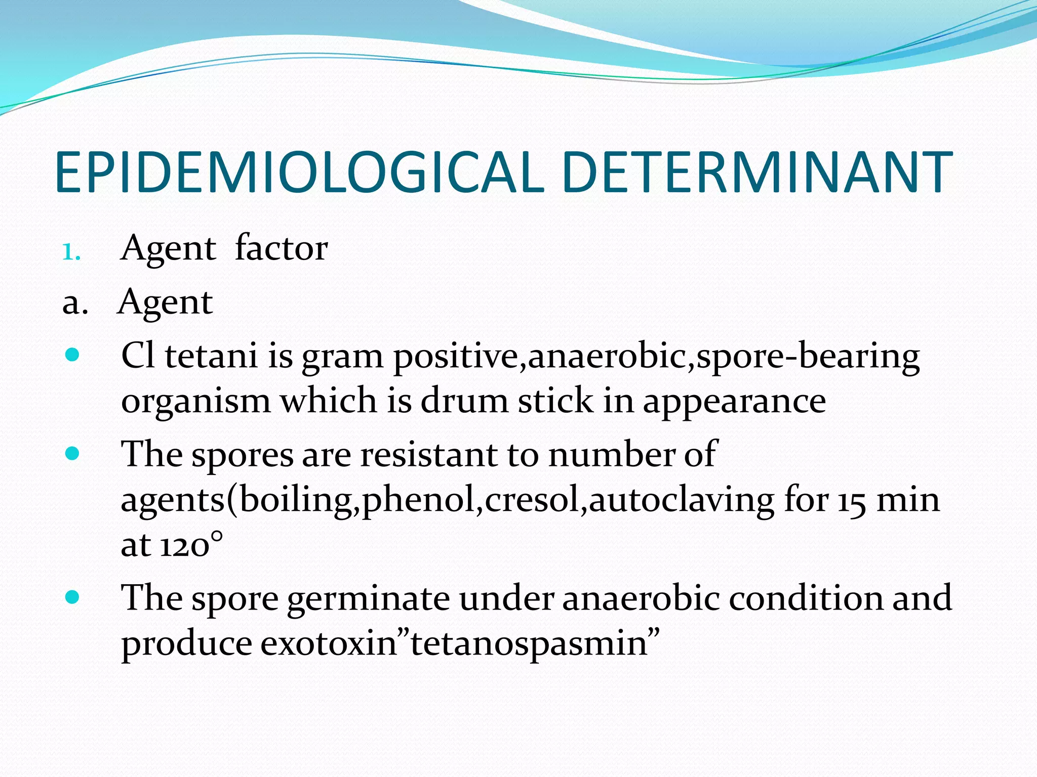 EPIDEMIOLOGICAL DETERMINANTAgent  factora.   AgentCltetani is gram positive,anaerobic,spore-bearing organism which is drum stick in appearanceThe spores are resistant to number of agents(boiling,phenol,cresol,autoclavingfor 15 min at 120°The spore germinate under anaerobic condition and produce exotoxin”tetanospasmin”