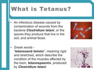 Tetanus | PPTX