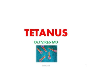 TETANUS
Dr.T.V.Rao MD

Dr.T.V.Rao MD

1

 