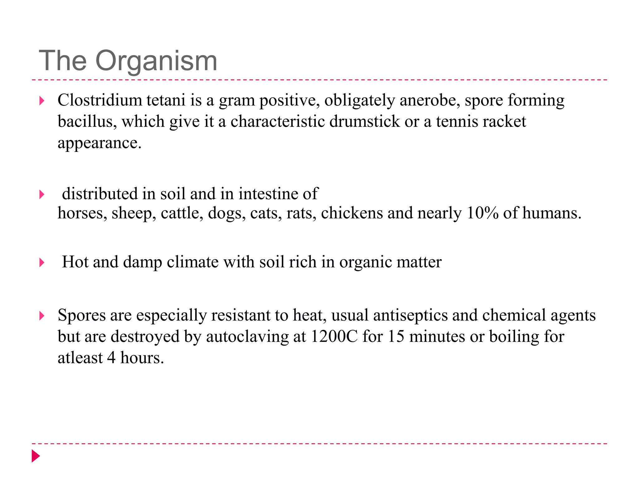 The Organism


Clostridium tetani is a gram positive, obligately anerobe, spore forming
bacillus, which give it a characteristic drumstick or a tennis racket
appearance.



distributed in soil and in intestine of
horses, sheep, cattle, dogs, cats, rats, chickens and nearly 10% of humans.





Hot and damp climate with soil rich in organic matter
Spores are especially resistant to heat, usual antiseptics and chemical agents
but are destroyed by autoclaving at 1200C for 15 minutes or boiling for
atleast 4 hours.

 