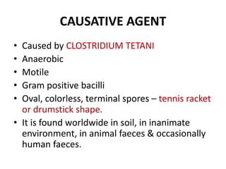 CAUSATIVE AGENT 
• Caused by CLOSTRIDIUM TETANI 
• Anaerobic 
• Motile 
• Gram positive bacilli 
• Oval, colorless, terminal spores – tennis racket 
or drumstick shape. 
• It is found worldwide in soil, in inanimate 
environment, in animal faeces & occasionally 
human faeces. 
 