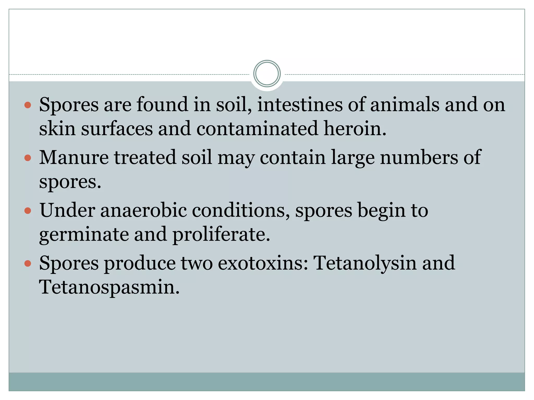  Spores are found in soil, intestines of animals and on
skin surfaces and contaminated heroin.
 Manure treated soil may contain large numbers of
spores.
 Under anaerobic conditions, spores begin to
germinate and proliferate.
 Spores produce two exotoxins: Tetanolysin and
Tetanospasmin.
 