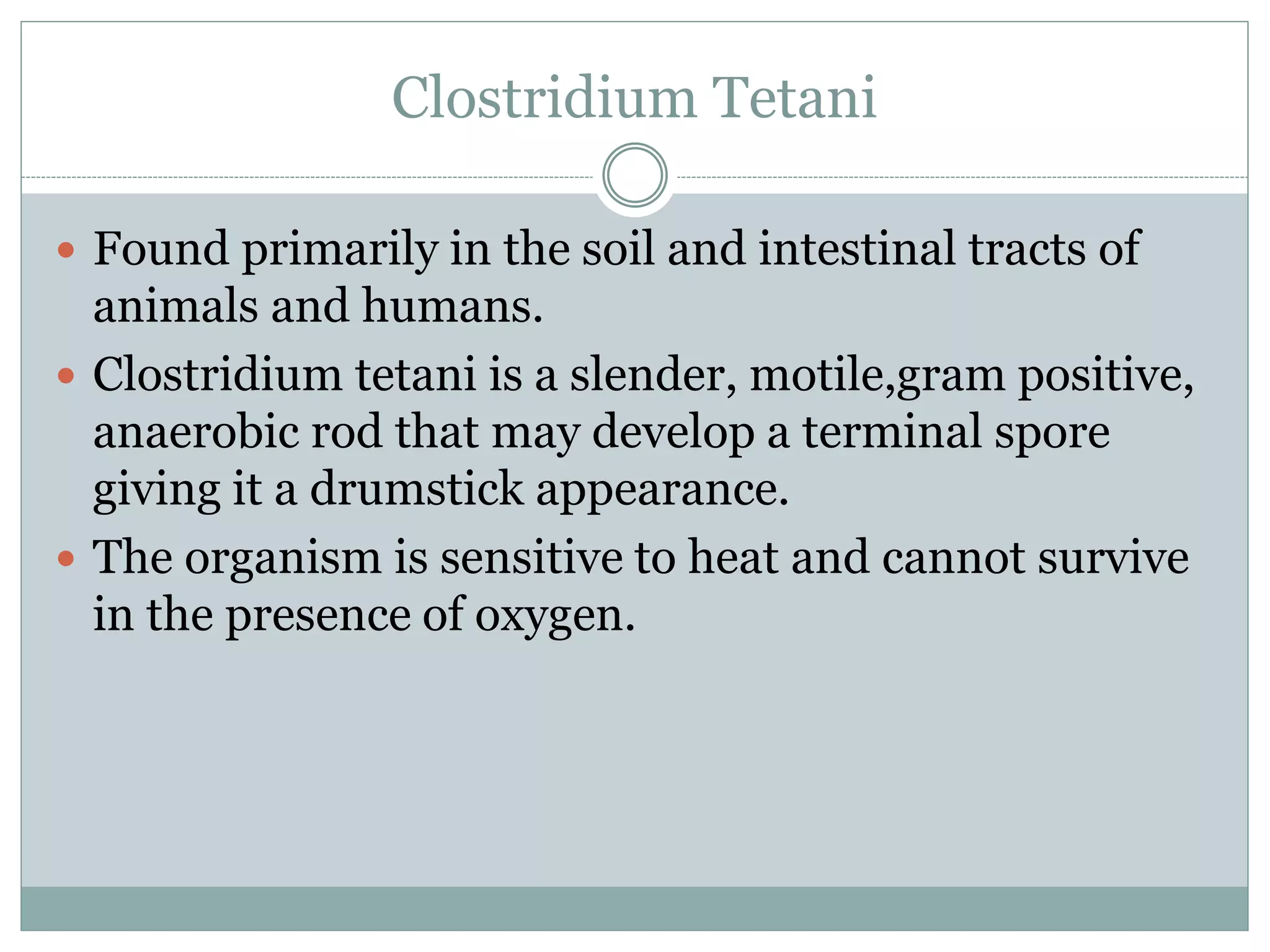 Clostridium Tetani
 Found primarily in the soil and intestinal tracts of
animals and humans.
 Clostridium tetani is a slender, motile,gram positive,
anaerobic rod that may develop a terminal spore
giving it a drumstick appearance.
 The organism is sensitive to heat and cannot survive
in the presence of oxygen.
 