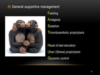 A) General supportive management
Feeding
Analgesia
Sedation
Thromboembolic prophylaxis
Head of bed elevation
Ulcer (Stress) prophylaxis
Glycemic control
20
 