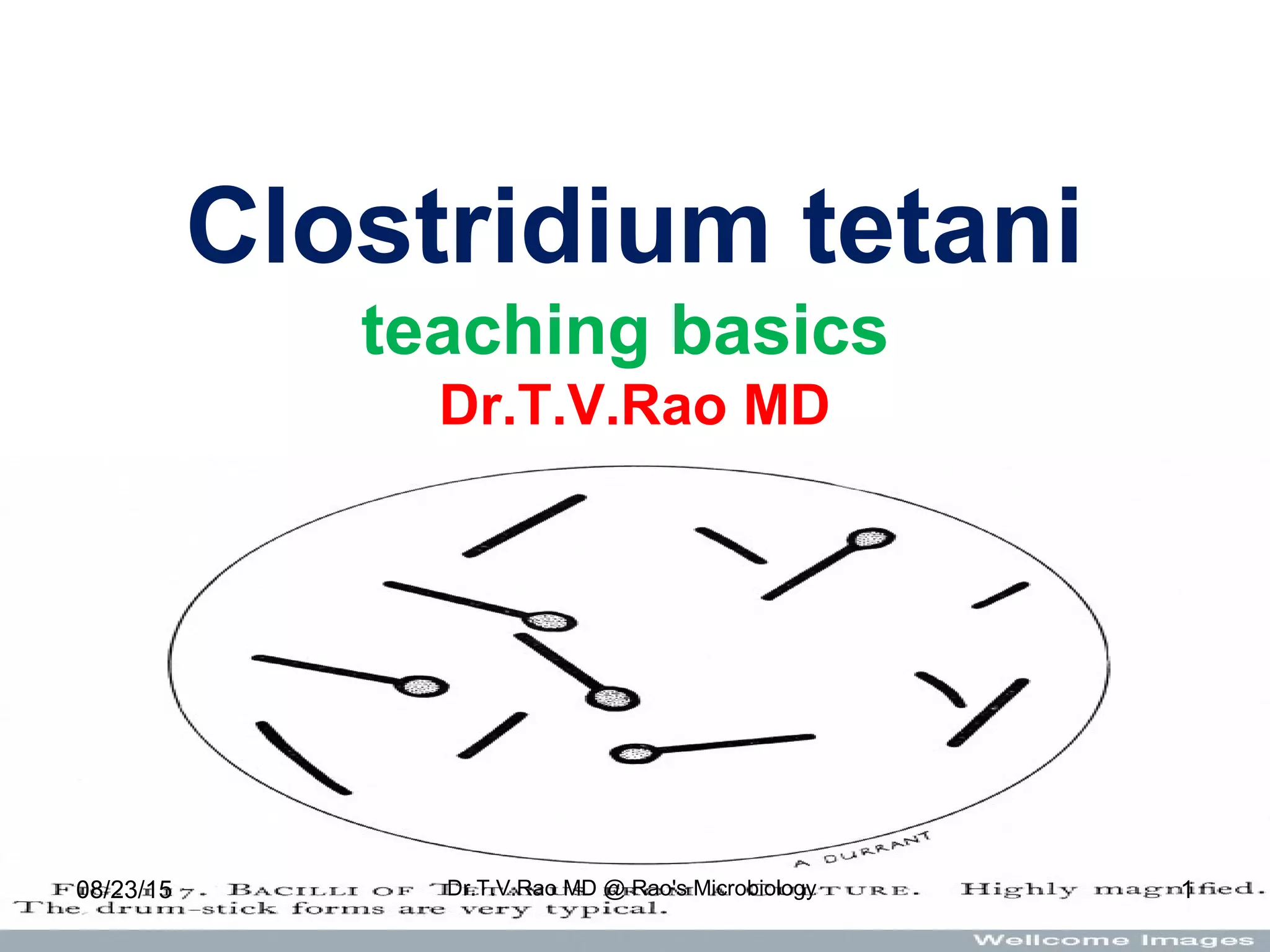 Teaching Basics