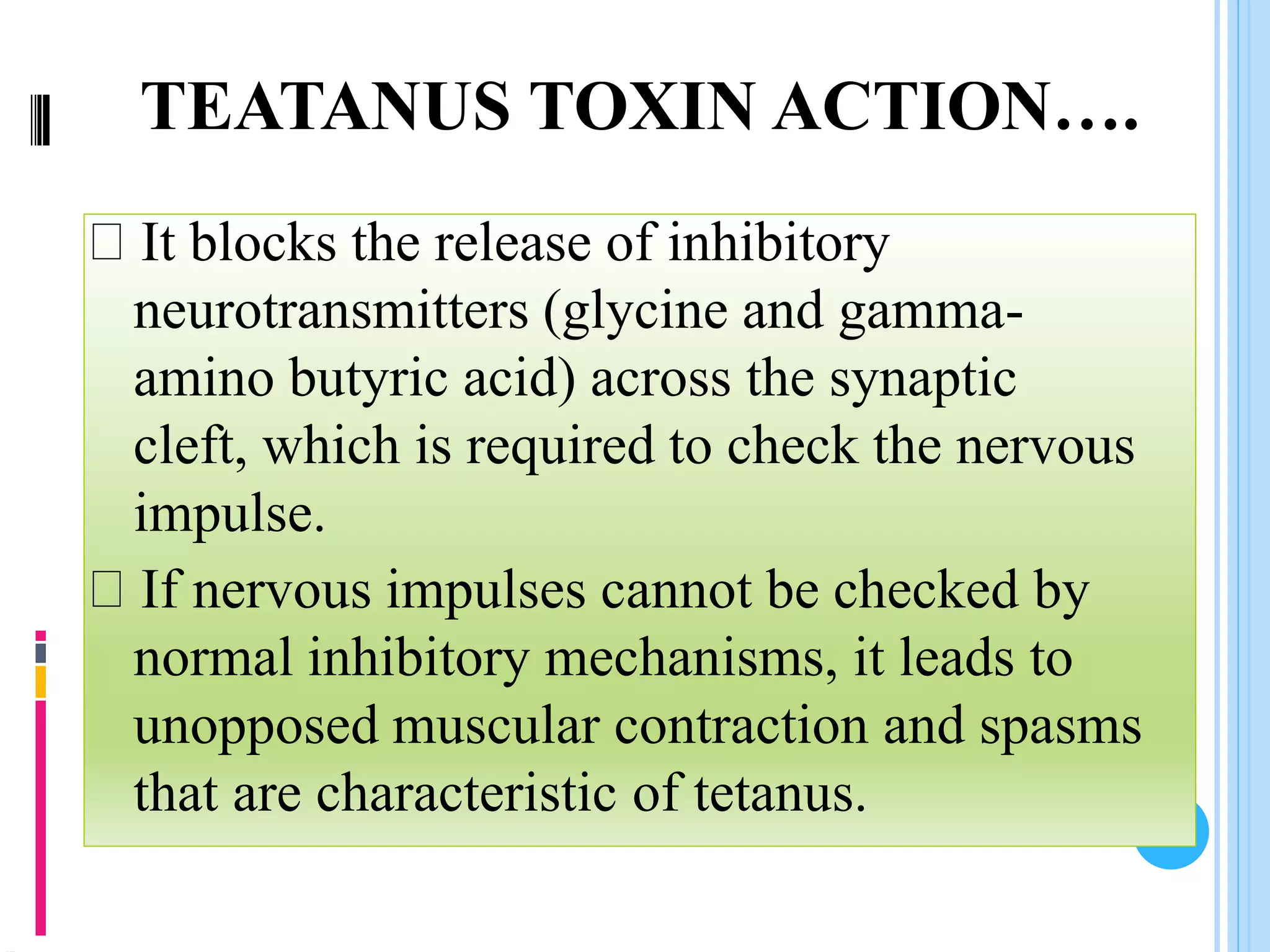 TEATANUS TOXIN ACTION….
It blocks the release of inhibitory
neurotransmitters (glycine and gamma-
amino butyric acid) across the synaptic
cleft, which is required to check the nervous
impulse.
If nervous impulses cannot be checked by
normal inhibitory mechanisms, it leads to
unopposed muscular contraction and spasms
that are characteristic of tetanus.
 