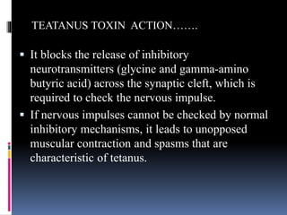  It blocks the release of inhibitory
neurotransmitters (glycine and gamma-amino
butyric acid) across the synaptic cleft, which is
required to check the nervous impulse.
 If nervous impulses cannot be checked by normal
inhibitory mechanisms, it leads to unopposed
muscular contraction and spasms that are
characteristic of tetanus.
TEATANUS TOXIN ACTION…….
 