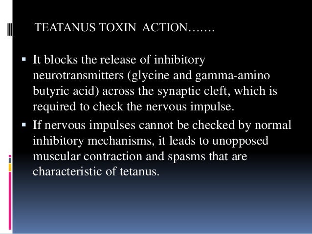 Dissertation tetanus