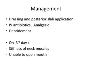 Management
• Dressing and posterior slab application
• IV antibiotics , Analgesic
• Debridement
• On 3rd day :
- Stifness of neck muscles
- Unable to open mouth
 