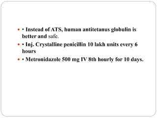  • Instead of ATS, human antitetanus globulin is
better and safe.
 • Inj. Crystalline penicillin 10 lakh units every 6
hours
 • Metronidazole 500 mg IV 8th hourly for 10 days.
 