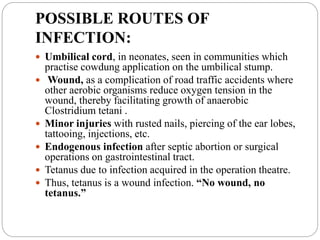POSSIBLE ROUTES OF
INFECTION:
 Umbilical cord, in neonates, seen in communities which
practise cowdung application on the umbilical stump.
 Wound, as a complication of road traffic accidents where
other aerobic organisms reduce oxygen tension in the
wound, thereby facilitating growth of anaerobic
Clostridium tetani .
 Minor injuries with rusted nails, piercing of the ear lobes,
tattooing, injections, etc.
 Endogenous infection after septic abortion or surgical
operations on gastrointestinal tract.
 Tetanus due to infection acquired in the operation theatre.
 Thus, tetanus is a wound infection. “No wound, no
tetanus.”
 