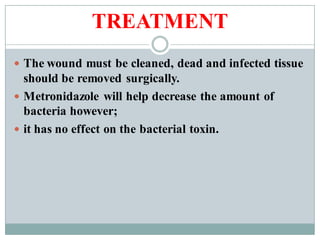 TREATMENT
 The wound must be cleaned, dead and infected tissue
should be removed surgically.
 Metronidazole will help decrease the amount of
bacteria however;
 it has no effect on the bacterial toxin.
 