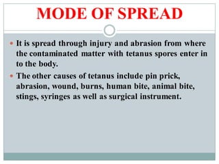MODE OF SPREAD
 It is spread through injury and abrasion from where
the contaminated matter with tetanus spores enter in
to the body.
 The other causes of tetanus include pin prick,
abrasion, wound, burns, human bite, animal bite,
stings, syringes as well as surgical instrument.
 