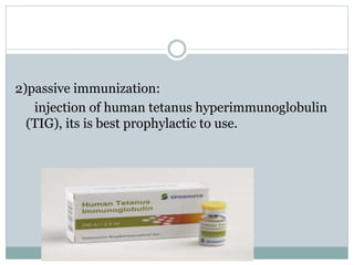 2)passive immunization:
injection of human tetanus hyperimmunoglobulin
(TIG), its is best prophylactic to use.
 
