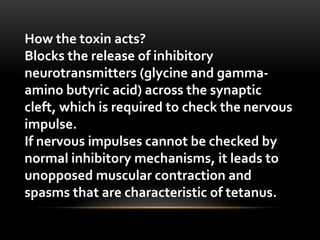 How the toxin acts?
Blocks the release of inhibitory
neurotransmitters (glycine and gamma-
amino butyric acid) across the synaptic
cleft, which is required to check the nervous
impulse.
If nervous impulses cannot be checked by
normal inhibitory mechanisms, it leads to
unopposed muscular contraction and
spasms that are characteristic of tetanus.
 