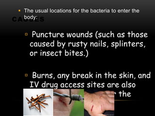 CAUSES
 The usual locations for the bacteria to enter the
body:
 Puncture wounds (such as those
caused by rusty nails, splinters,
or insect bites.)
 Burns, any break in the skin, and
IV drug access sites are also
potential entryways for the
bacteria.
 