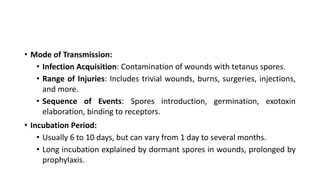 • Mode of Transmission:
• Infection Acquisition: Contamination of wounds with tetanus spores.
• Range of Injuries: Includes trivial wounds, burns, surgeries, injections,
and more.
• Sequence of Events: Spores introduction, germination, exotoxin
elaboration, binding to receptors.
• Incubation Period:
• Usually 6 to 10 days, but can vary from 1 day to several months.
• Long incubation explained by dormant spores in wounds, prolonged by
prophylaxis.
 