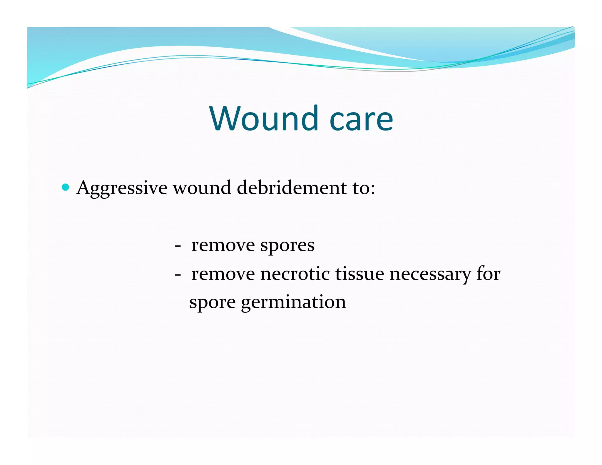 Wound	
  care	
  
  Aggressive	
  wound	
  debridement	
  to:	
  


	
  	
  	
  	
  	
  	
  	
  	
  	
  	
  	
  	
  	
  	
  	
  	
  	
  	
  	
  	
  	
  	
  	
  -­‐	
  	
  remove	
  spores	
  
	
  	
  	
  	
  	
  	
  	
  	
  	
  	
  	
  	
  	
  	
  	
  	
  	
  	
  	
  	
  	
  	
  	
  -­‐	
  	
  remove	
  necrotic	
  tissue	
  necessary	
  for	
  	
  
	
  	
  	
  	
  	
  	
  	
  	
  	
  	
  	
  	
  	
  	
  	
  	
  	
  	
  	
  	
  	
  	
  	
  	
  	
  	
  spore	
  germination	
  
 