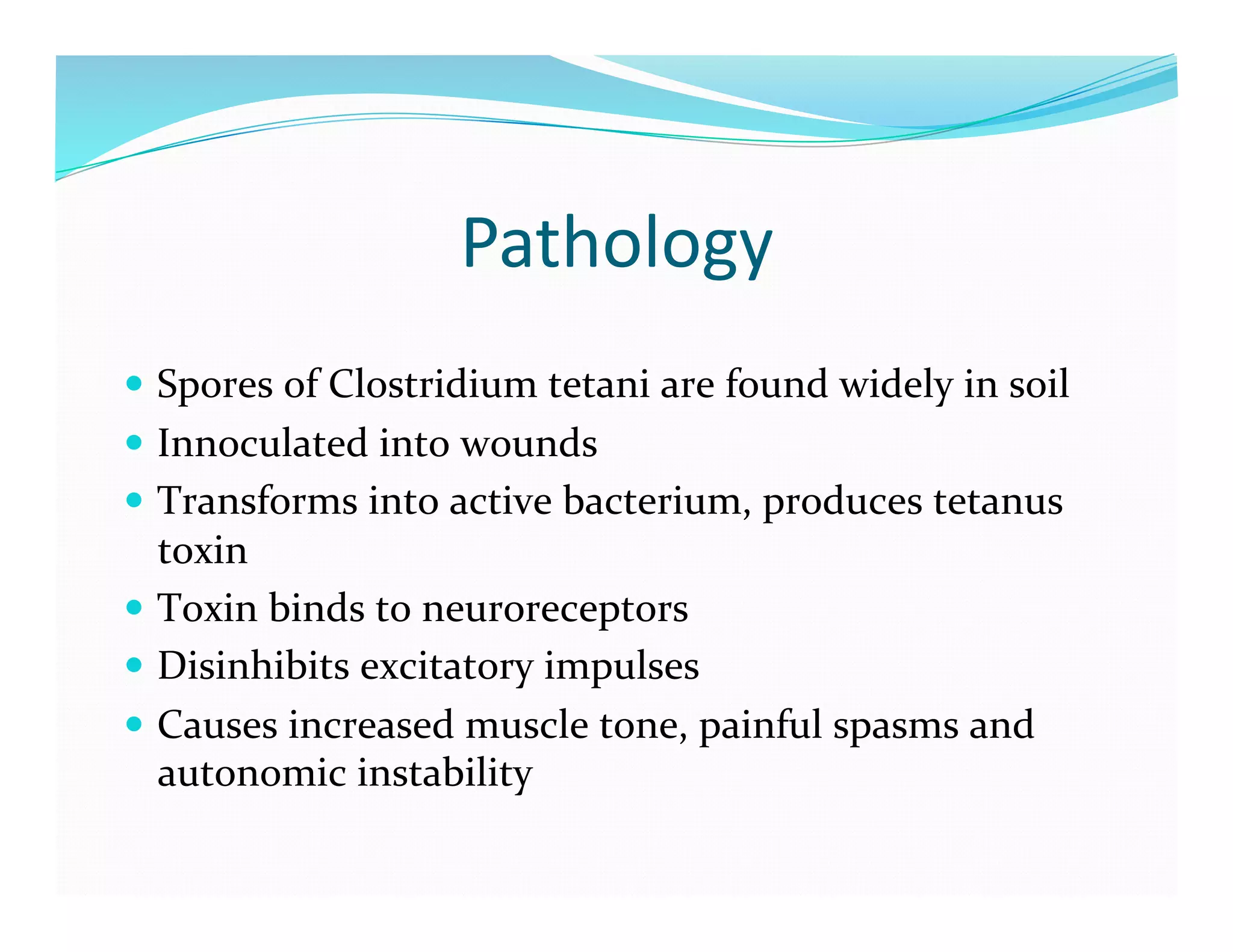 Pathology	
  
  Spores	
  of	
  Clostridium	
  tetani	
  are	
  found	
  widely	
  in	
  soil	
  
  Innoculated	
  into	
  wounds	
  
  Transforms	
  into	
  active	
  bacterium,	
  produces	
  tetanus	
  
   toxin	
  
  Toxin	
  binds	
  to	
  neuroreceptors	
  
  Disinhibits	
  excitatory	
  impulses	
  
  Causes	
  increased	
  muscle	
  tone,	
  painful	
  spasms	
  and	
  
   autonomic	
  instability	
  
 