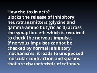 How the toxin acts?
Blocks the release of inhibitory
neurotransmitters (glycine and
gamma-amino butyric acid) across
the synaptic cleft, which is required
to check the nervous impulse.
If nervous impulses cannot be
checked by normal inhibitory
mechanisms, it leads to unopposed
muscular contraction and spasms
that are characteristic of tetanus.
 
