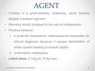 AGENT
• Cl.tetani is a gram-positive, anaerobic, spore bearing
&highly resistant organism
• Remains strictly localized to the site of multiplication
• Produce exotoxin.
1. a powerful neurotoxins- tetanospasmin-resposible for
clinical diagnosis because it causes disinhibition of
motor system leading to muscle rigidity
2. a hemolysin -tetanolysin
• Lethal dose- 0.1mg for 70 kg man.
Vd Rakesh Shukla, GAAC, Ahmedabad
 