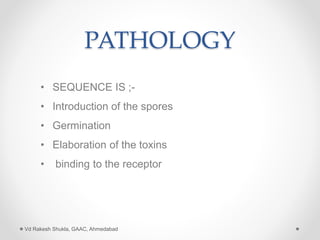 PATHOLOGY
• SEQUENCE IS ;-
• Introduction of the spores
• Germination
• Elaboration of the toxins
• binding to the receptor
Vd Rakesh Shukla, GAAC, Ahmedabad
 