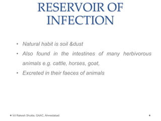 RESERVOIR OF
INFECTION
• Natural habit is soil &dust
• Also found in the intestines of many herbivorous
animals e.g. cattle, horses, goat,
• Excreted in their faeces of animals
Vd Rakesh Shukla, GAAC, Ahmedabad
 