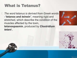 What is Tetanus?
The word tetanus is derived from Greek words
-“tetanos and teinein”, meaning rigid and
stretched, which describe the condition of the
muscles affected by the toxin,
tetanospasmin, produced by Clostridium
tetani .
 