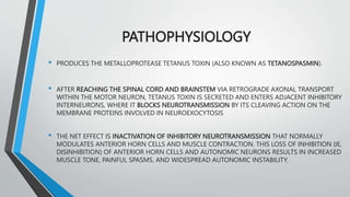 Tetanus Pathophys TETANUS CASE DISCUSSION.pptx | Brain and Nervous System Disorders ...