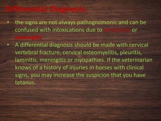 Differential Diagnosis:
• the signs are not always pathognomonic and can be
confused with intoxications due to strychnine or
meningitis.
• A differential diagnosis should be made with cervical
vertebral fracture, cervical osteomyelitis, pleuritis,
laminitis, meningitis or myopathies. If the veterinarian
knows of a history of injuries in horses with clinical
signs, you may increase the suspicion that you have
tetanus.
 