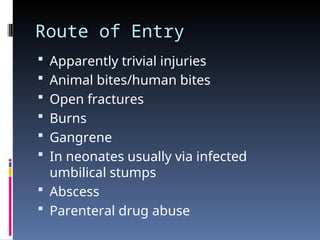 Route of Entry
 Apparently trivial injuries
 Animal bites/human bites
 Open fractures
 Burns
 Gangrene
 In neonates usually via infected
umbilical stumps
 Abscess
 Parenteral drug abuse
 