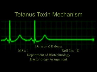 Tetanus Toxin Mechanism
Dariyus Z Kabraji
MSc: 1 Roll No: 18
Department of Biotechnology
Bacteriology Assignment
 