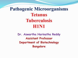Pathogenic Microorganisms
Tetanus
Tuberculosis
H1N1
Dr. Aswartha Harinatha Reddy
Assistant Professor
Department of Biotechnology
Bangalore
 