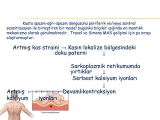 Artmış kas straini → Kasın lokalize bölgesindeki
doku paterni ↓
Sarkoplazmik retikumumda
yırtıklar ↓
Serbest kalsiyum iyonları
↓
Artmış ← ←←←←←Devamlıkontraksiyon
kalsiyum iyonları
Kasta spazm-ağrı-spazm döngüsünü periferik ve/veya santral
sensitizasyon ile birleştiren bir model bugünkü bilgiler ışığında en mantıklı
mekanizma olarak görülmektedir . Travel ve Simons MAS gelişimi için şu sırayı
oluşturmuştur:
 