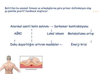 Anormal asetil kolin salınımı → Sarkomer kontraksiyonu
↑ ↓ ↓
AĞRI ↑ Lokal iskemi Metabolizma artışı
↑
↑ ↑ ↓ ↓
Doku duyarlılığını artıran maddeler ← Enerji krizi
Belirtilen bu anomali Simons ve arkadaşlarına göre primer disfonksiyon olup
şu şekilde pozitif feedback oluşturur:
 