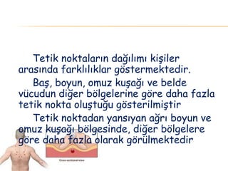 Tetik noktaların dağılımı kişiler
arasında farklılıklar göstermektedir.
Baş, boyun, omuz kuşağı ve belde
vücudun diğer bölgelerine göre daha fazla
tetik nokta oluştuğu gösterilmiştir
Tetik noktadan yansıyan ağrı boyun ve
omuz kuşağı bölgesinde, diğer bölgelere
göre daha fazla olarak görülmektedir
 
