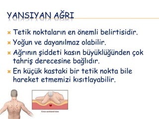 YANSIYAN AĞRI
 Tetik noktaların en önemli belirtisidir.
 Yoğun ve dayanılmaz olabilir.
 Ağrının şiddeti kasın büyüklüğünden çok
tahriş derecesine bağlıdır.
 En küçük kastaki bir tetik nokta bile
hareket etmemizi kısıtlayabilir.
 