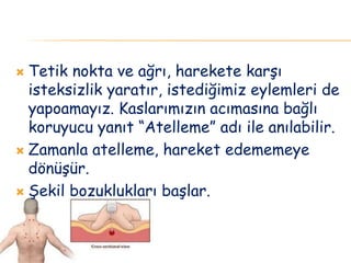  Tetik nokta ve ağrı, harekete karşı
isteksizlik yaratır, istediğimiz eylemleri de
yapoamayız. Kaslarımızın acımasına bağlı
koruyucu yanıt “Atelleme” adı ile anılabilir.
 Zamanla atelleme, hareket edememeye
dönüşür.
 Şekil bozuklukları başlar.
 