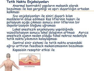 Tetik Nokta Enjeksiyonları
Anormal kontraktil yapıların mekanik olarak
bozulması ile kas gerginliği ve aşırı duyarlılığın ortadan
kalkması
Sıvı enjeksiyonları ile siniri duyarlı kılan
maddelerin dilue edilmesi Kas liflerinin hasarı ile
potasyum açığa çıkması sonucu sinir liflerinin bir
depolarizasyon bloğuna uğraması
Lokal anestezik enjeksiyonu yapıldığında
vazodilatasyon sonucu lokal dolaşımın artması Ayrıca
anestezik ajanın neden olduğu fokal nekroz nedeniyle
tetik nokta yıkımının kolaylaşması
Santral sinir sistemi ile tetik nokta arasındaki
ağrıyı arttıran feedback mekanizmasının bozulması
Kapsaisin reseptör etkisi ile
 