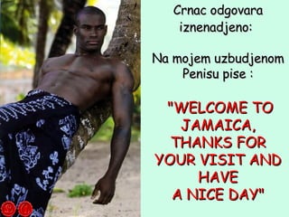 Crnac odgovara iznenadjeno:   Na mojem uzbudjenom Penisu pise : &quot;WELCOME TO JAMAICA, THANKS FOR YOUR VISIT AND HAVE A...