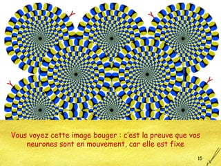 Vous voyez cette image bouger : c’est la preuve que vos neurones sont en mouvement, car elle est fixe 