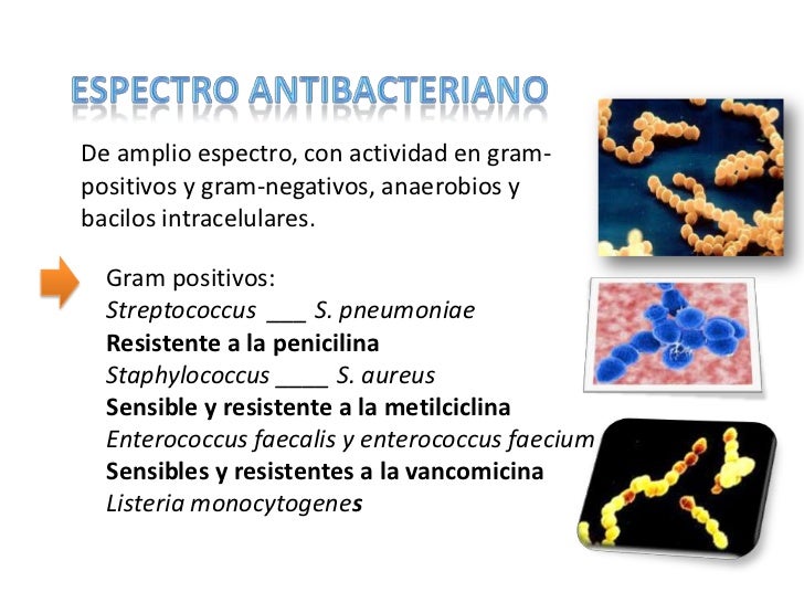 Tetraciclinas